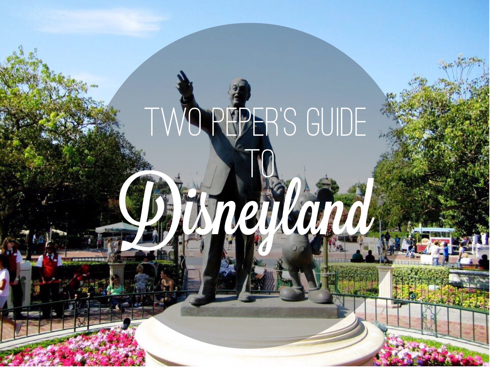 A Big ol Guide to Disneyland!