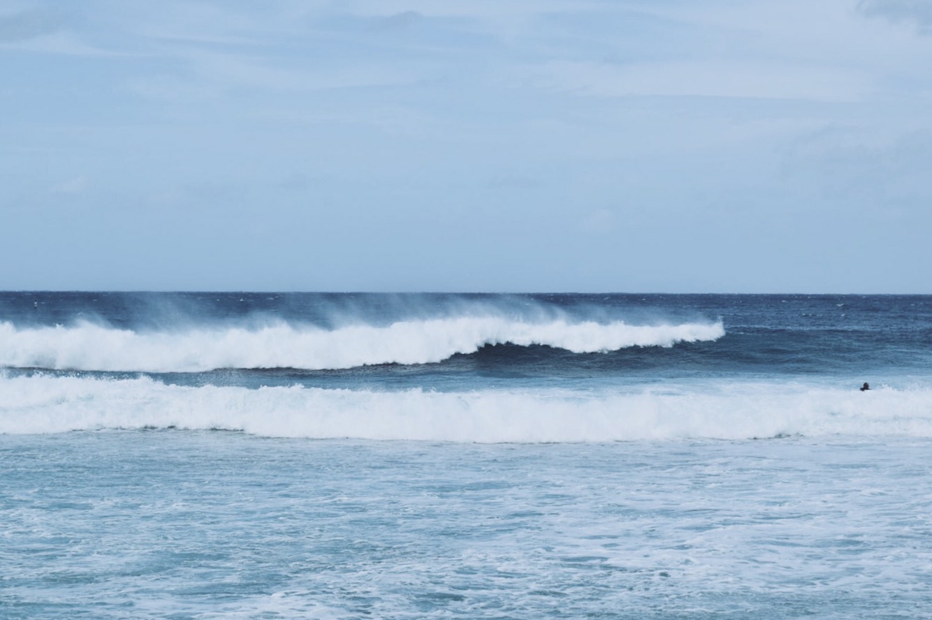 A Day on the North Shore